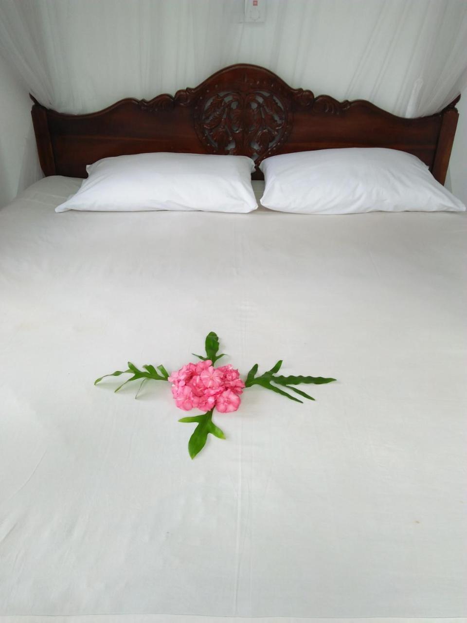 Ananda Villa Bentota Extérieur photo